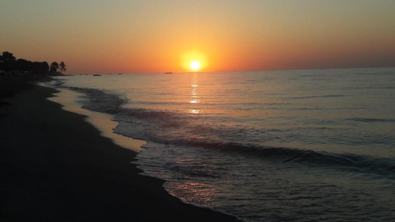 Holiday home H4 Ghisonaccia